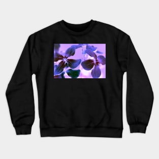 Purple Phlox Flowers Crewneck Sweatshirt